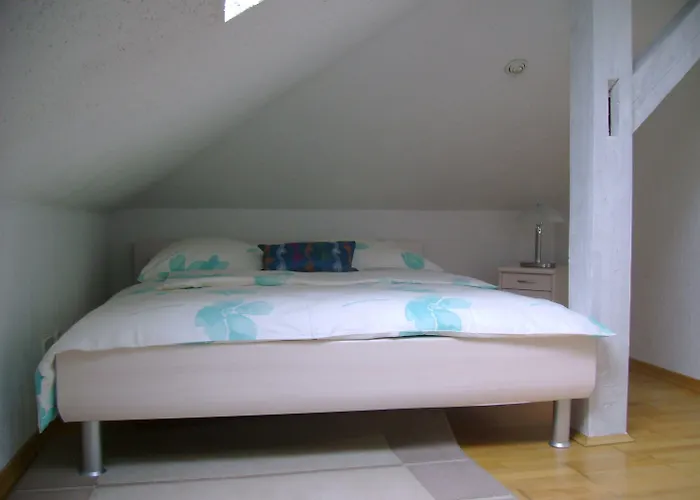 杜罗素套房 公寓 *